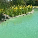 Adimari *