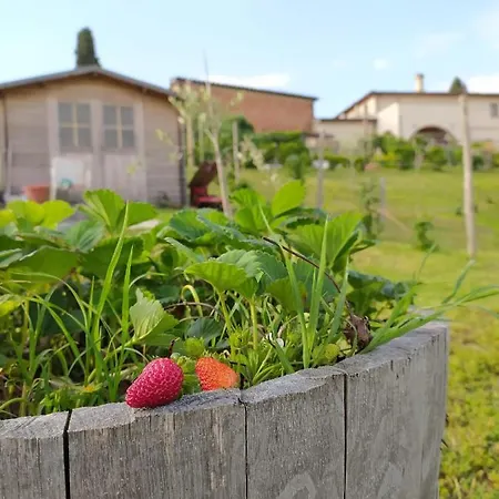Alloggio per agriturismo Agriturismo Adimari *